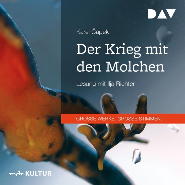 Buchcover für Der Krieg mit den Molchen