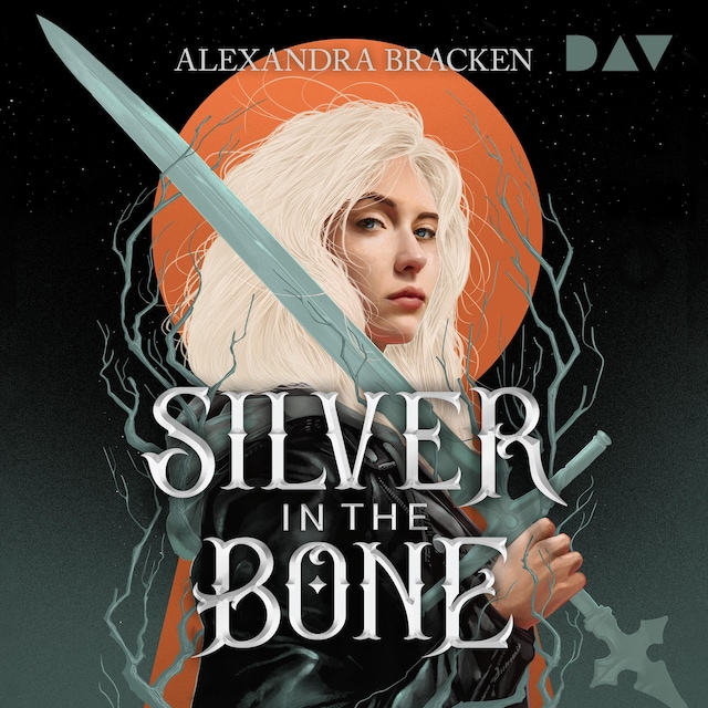 Buchcover für Silver in the Bone (Die Hollower-Saga 1)