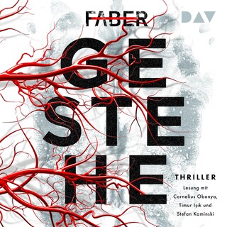 Gestehe als Hörbuch