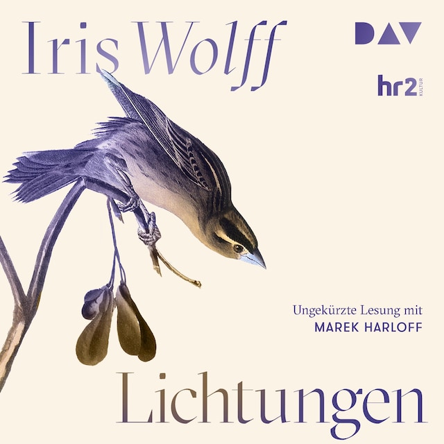 Book cover for Lichtungen