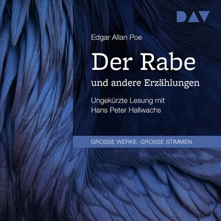 Der Rabe und andere Erzählungen als Hörbuch