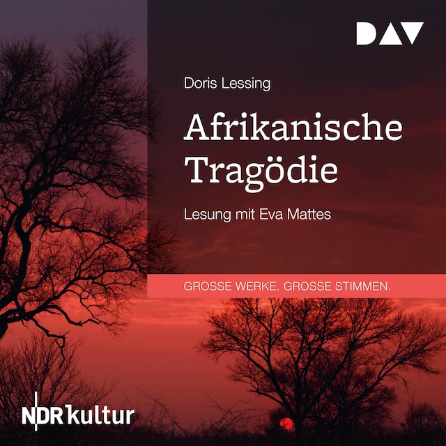 Buchcover für Afrikanische Tragödie