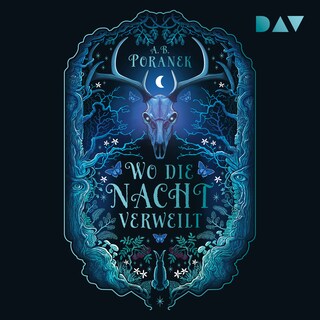 Wo die Nacht verweilt als Hörbuch
