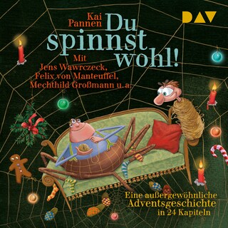 Du spinnst wohl! Eine außergewöhnliche Adventsgeschichte in 24 Kapiteln als Hörbuch
