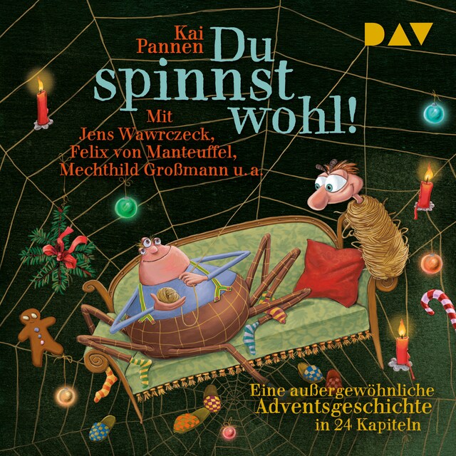 Buchcover für Du spinnst wohl! Eine außergewöhnliche Adventsgeschichte in 24 Kapiteln