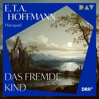 Das fremde Kind als Hörbuch