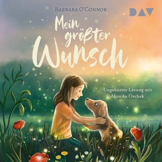 Mein größter Wunsch als Hörbuch