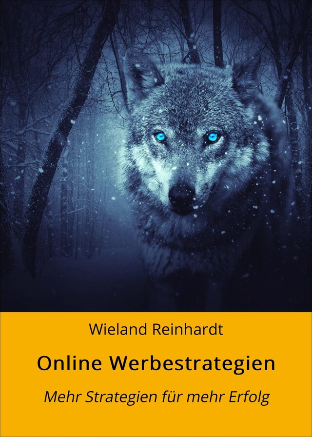 Book cover for Online Werbestrategien