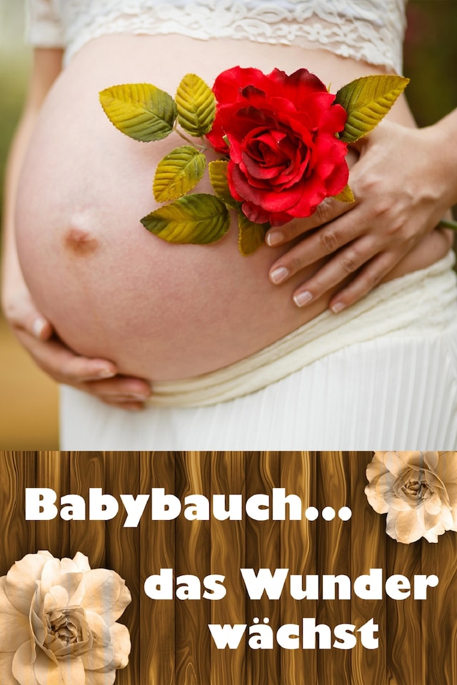 Book cover for Babybauch...das Wunder wächst