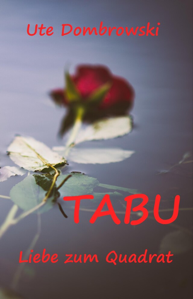 Copertina del libro per Tabu Liebe zum Quadrat