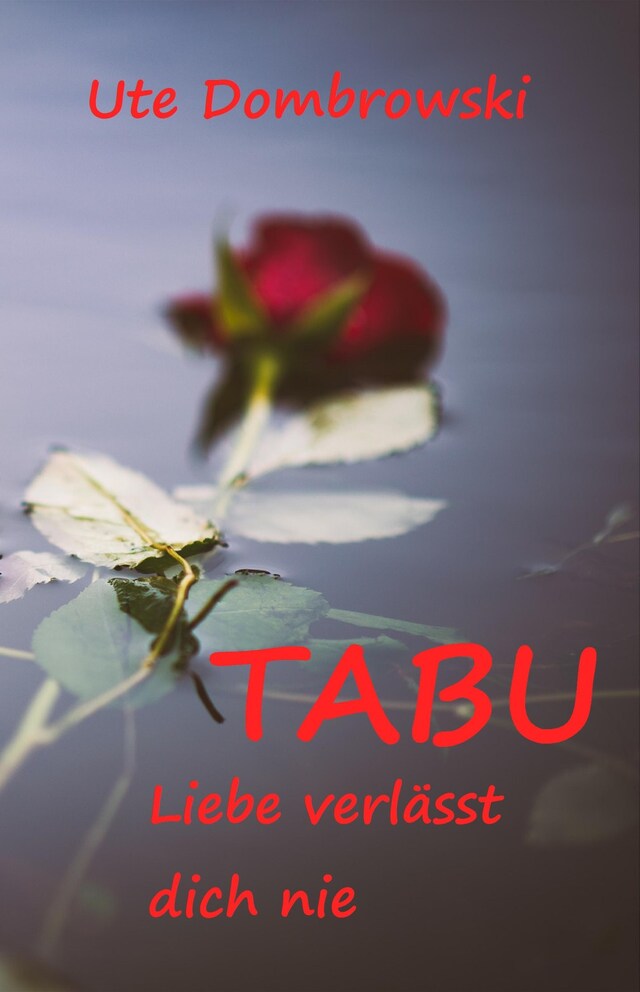 Boekomslag van Tabu Liebe verlässt dich nie