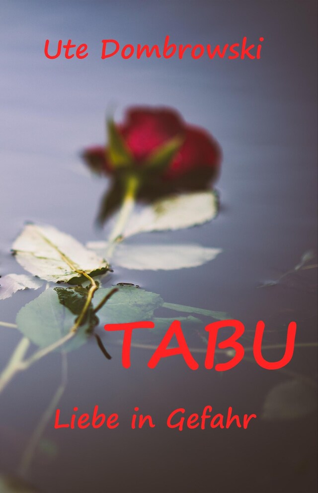 Book cover for Tabu Liebe in Gefahr