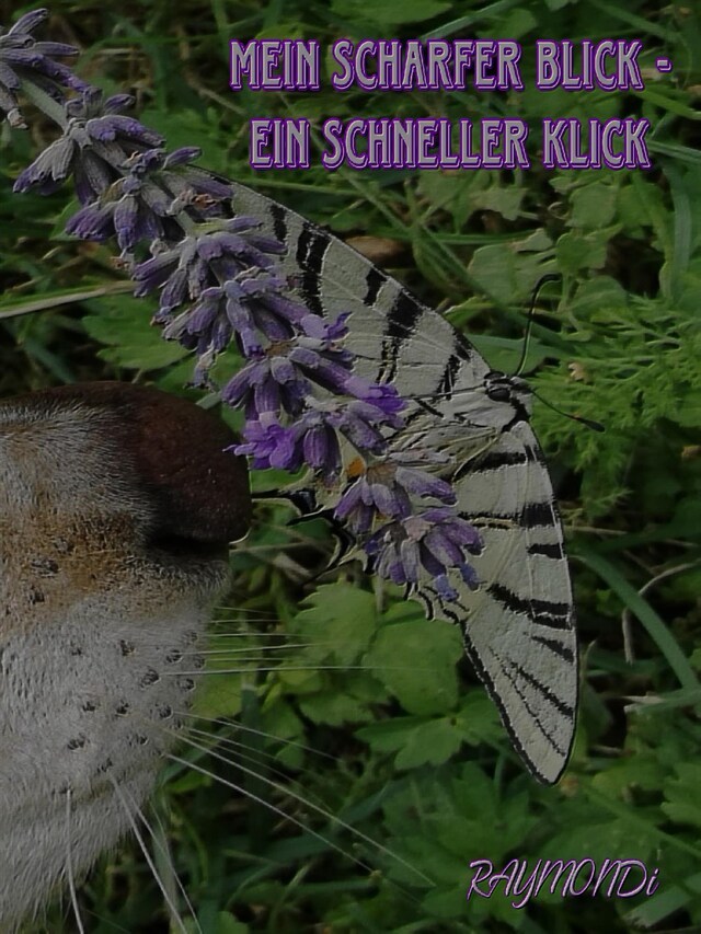 Copertina del libro per mein _scharfer_BLICK☆ein_schneller-KLICK☆IDEE+GLÜCK