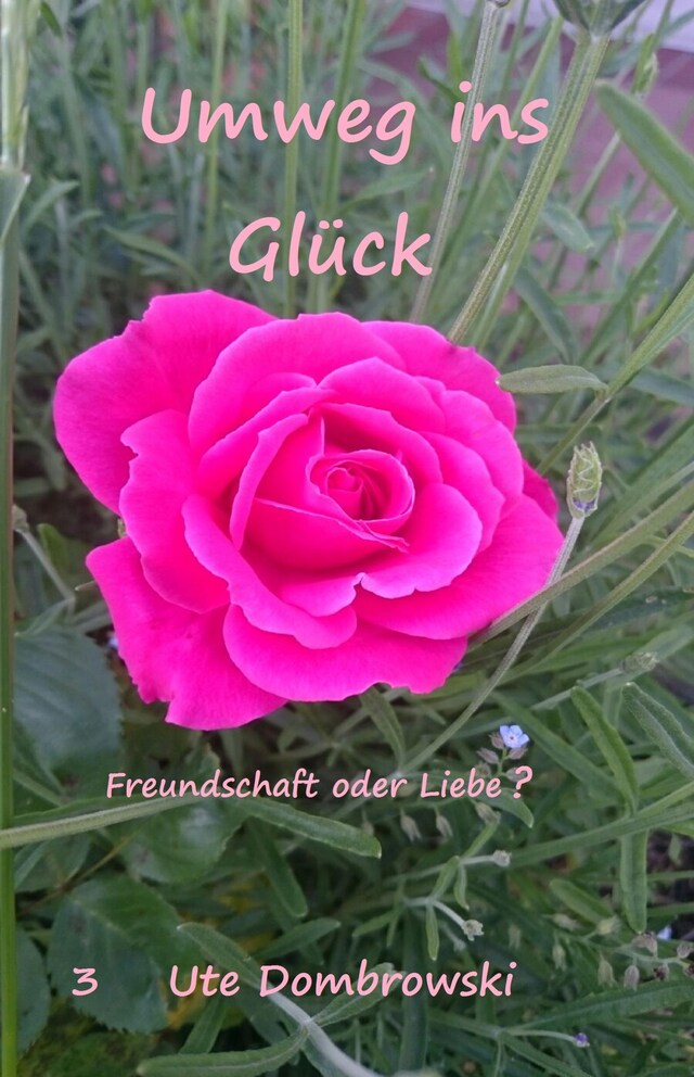 Book cover for Umweg ins Glück