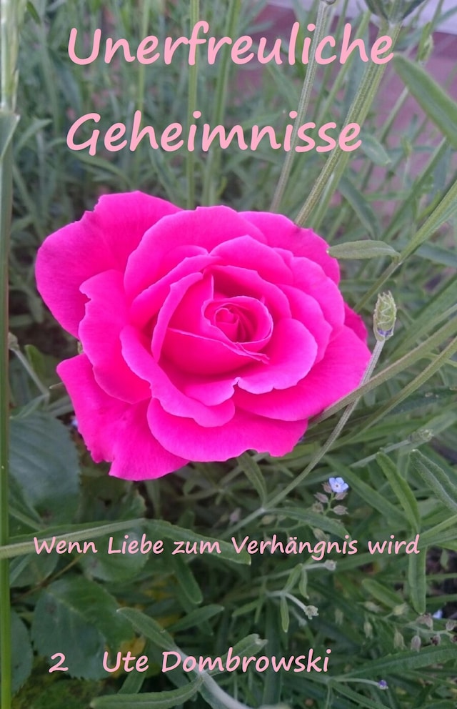 Copertina del libro per Unerfreuliche Geheimnisse