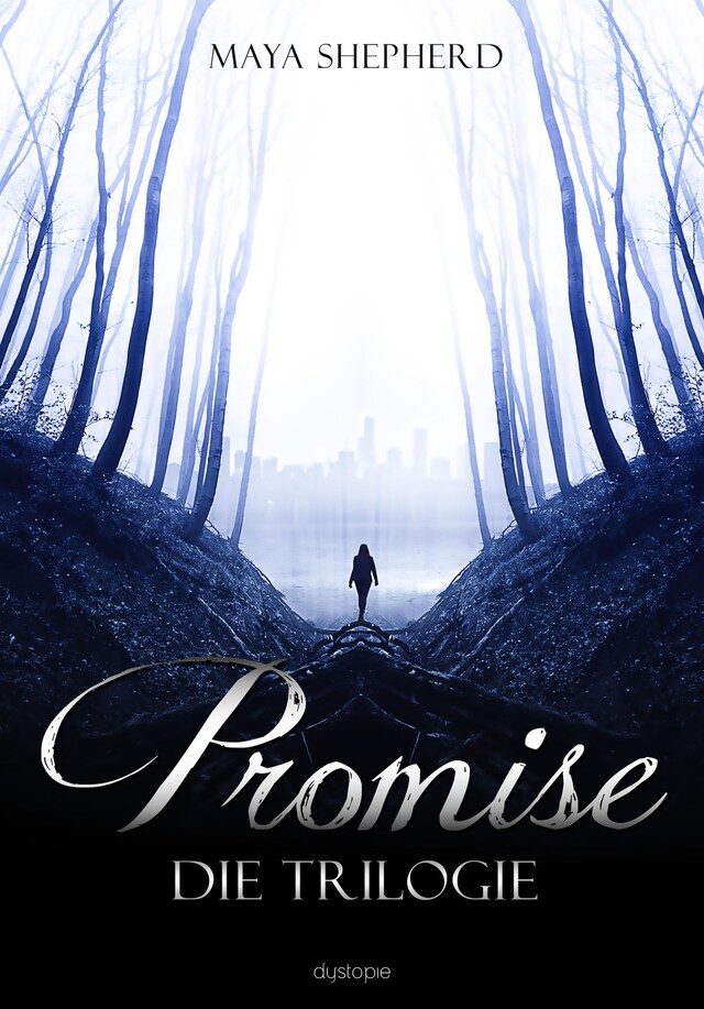 Promise Bogomslag for Promise