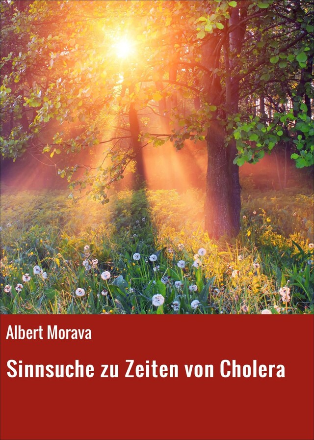 Book cover for Sinnsuche zu Zeiten von Cholera