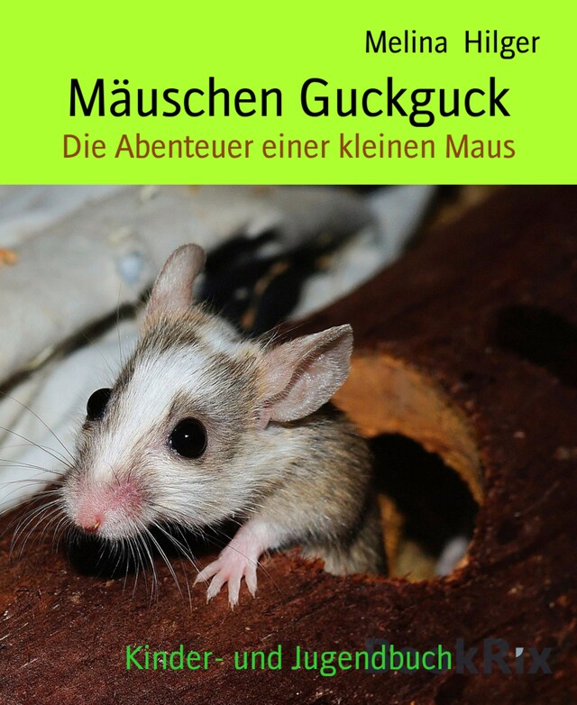 Bokomslag for Mäuschen Guckguck