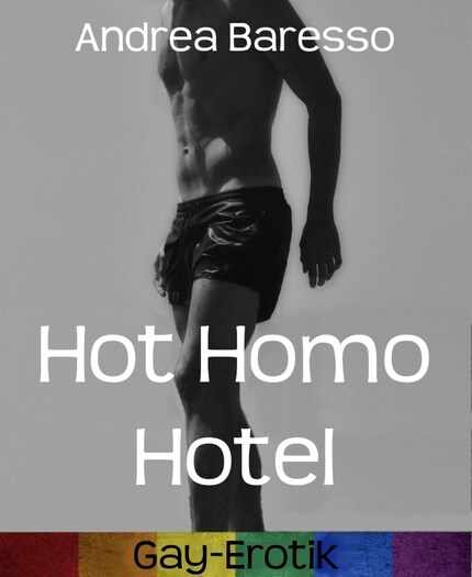 Hot Homo Hotel bookCoverFor
