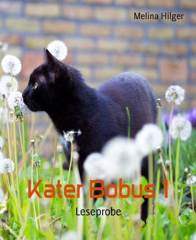 Kater Bobus 1