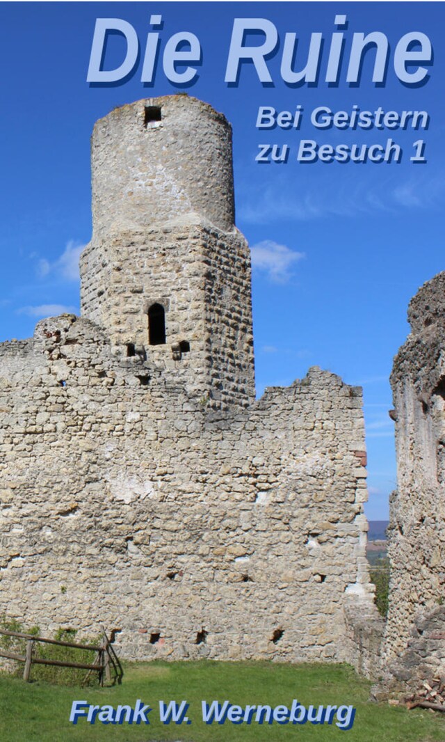 Boekomslag van Die Ruine