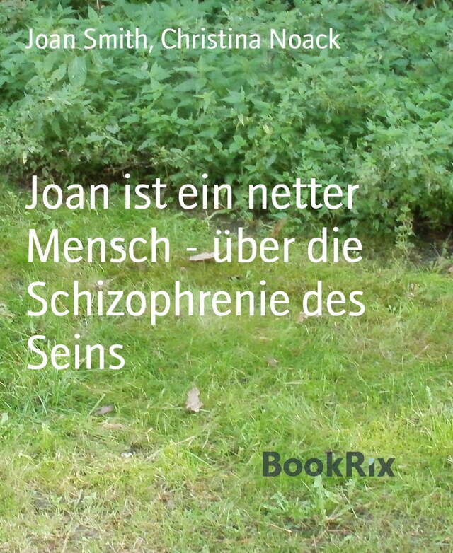 Bokomslag for Joan ist ein netter Mensch - über die Schizophrenie des Seins