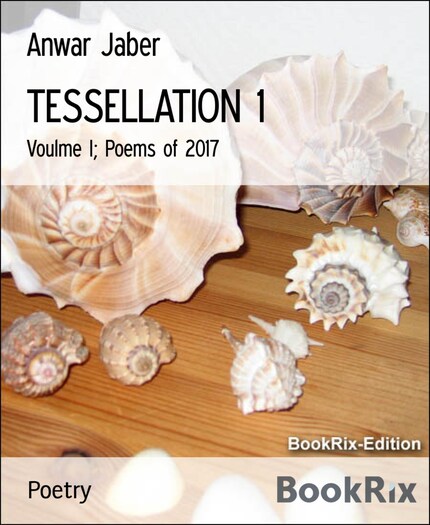 TESSELLATION 1 bookCoverFor