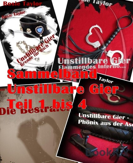 Sammelband Unstillbare Gier Teil 1 bis 4 bookCoverFor