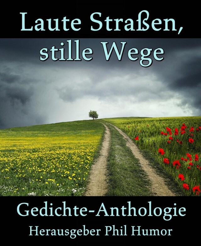 Copertina del libro per Laute Straßen, stille Wege