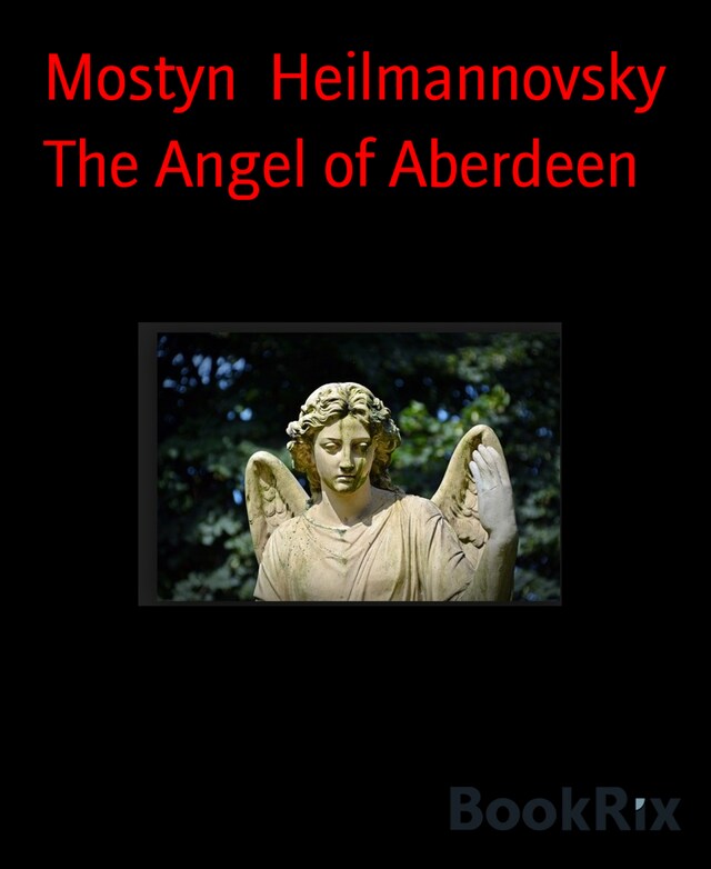 Book cover for The Angel of Aberdeen