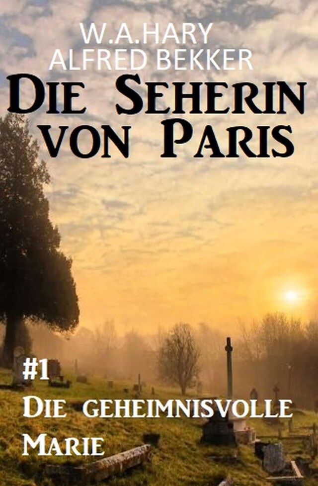 Book cover for Die geheimnisvolle Marie: Die Seherin von Paris 1