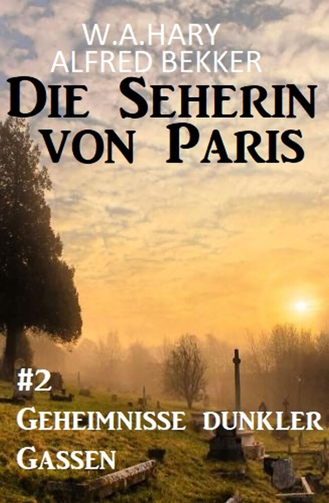 Kirjankansi teokselle ​ Geheimnisse dunkler Gassen: Die Seherin von Paris 2