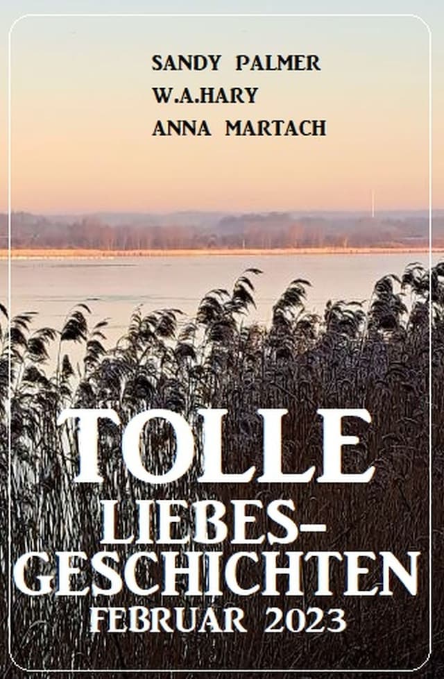 Book cover for Tolle Liebesgeschichten Februar 2023