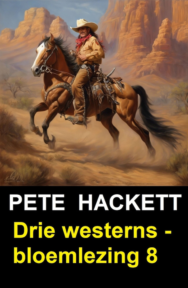 Book cover for Drie westerns - bloemlezing 8