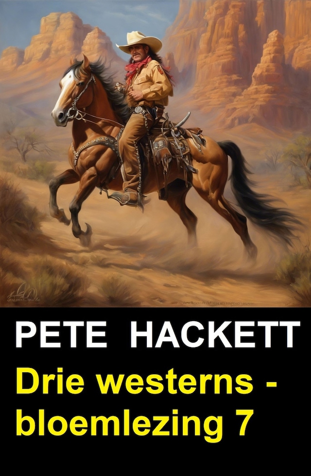 Book cover for Drie westerns - bloemlezing 7