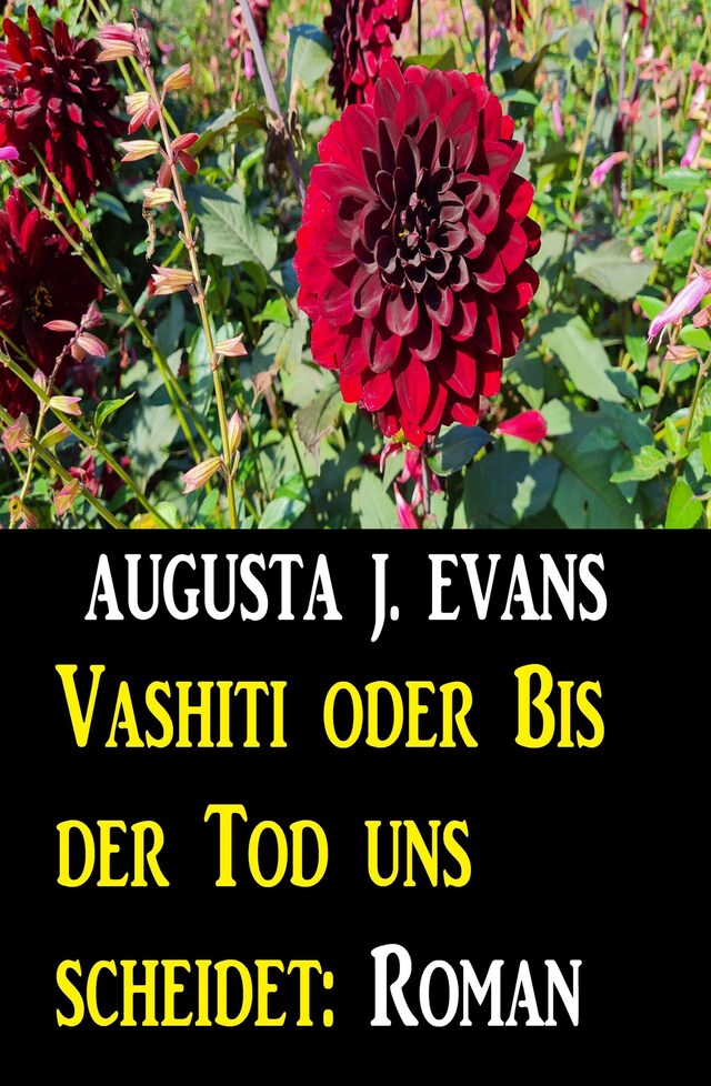 Buchcover für Vashiti oder Bis der Tod uns scheidet: Roman