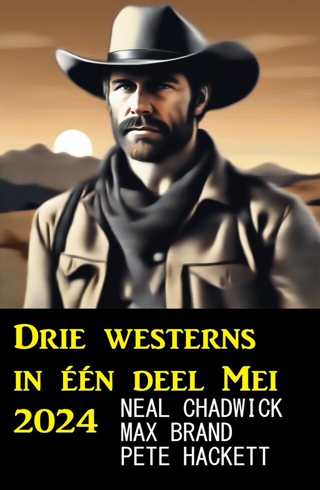 Boekomslag van Drie westerns in één deel Mei 2024