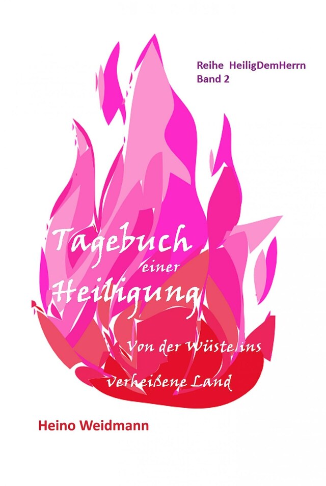 Buchcover für Tagebuch einer Heiligung