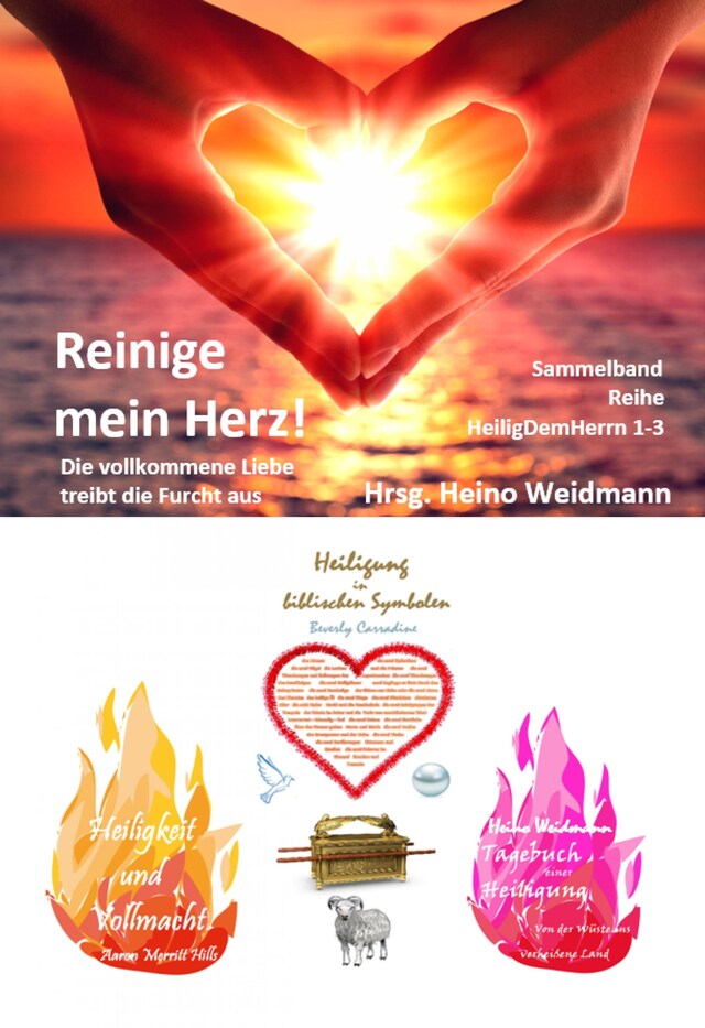 Couverture de livre pour Reinige mein Herz!