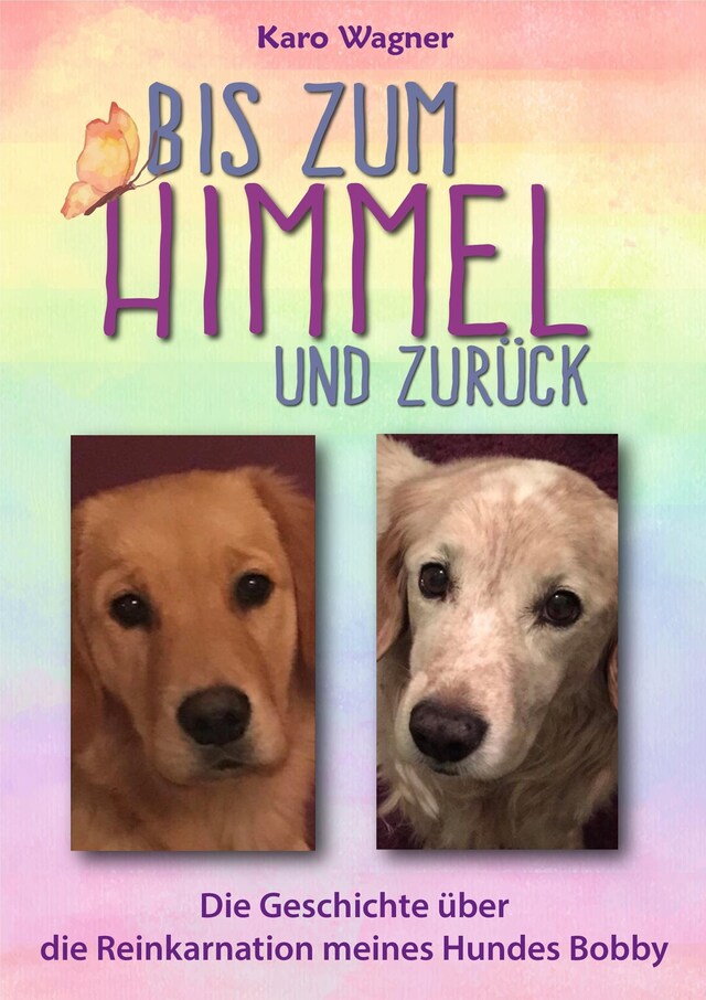 Book cover for Bis zum Himmel und zurück