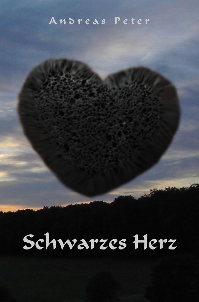 Couverture de livre pour Schwarzes Herz