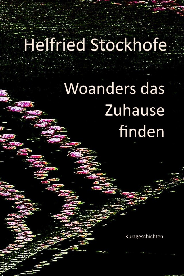 Book cover for Woanders das Zuhause finden