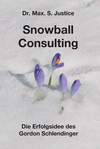 Snowball Consulting bookCoverFor