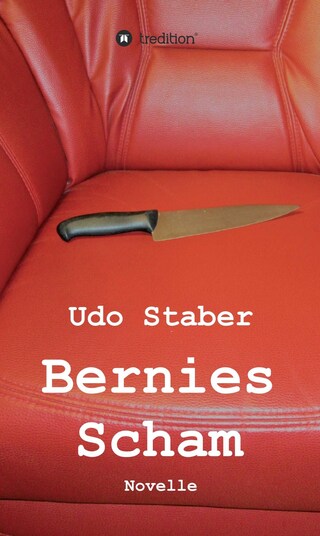 Bernies Scham bookCoverFor