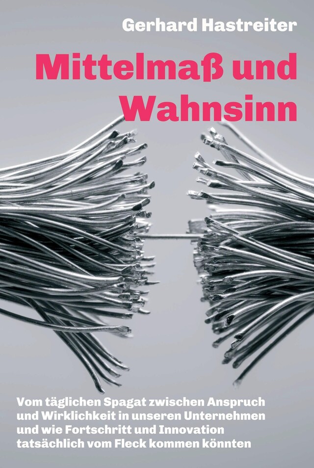 Okładka książki dla Mittelmaß und Wahnsinn