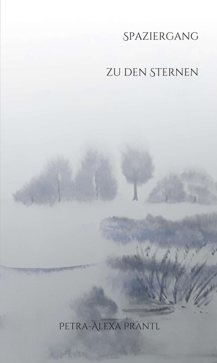 Spaziergang zu den Sternen bookCoverFor