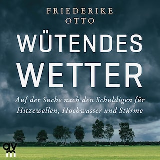 Wütendes Wetter als Hörbuch