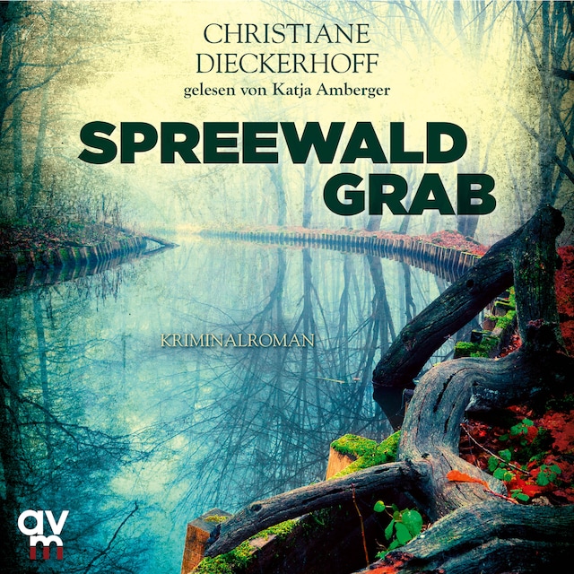 Book cover for Spreewaldgrab