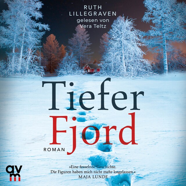 Book cover for Tiefer Fjord