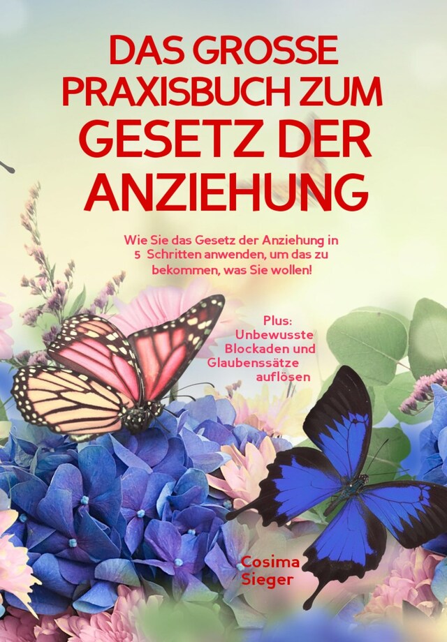 Copertina del libro per DAS GROSSE PRAXISBUCH ZUM GESETZ DER ANZIEHUNG! Wie Sie das Gesetz der Anziehung in 5 Schritten anwenden, um das zu bekommen, was Sie wollen!